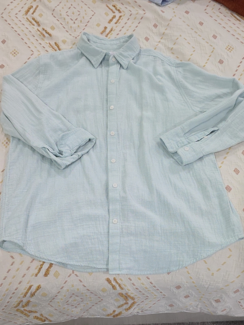 100% Organic Aritzia Cotton Button Down